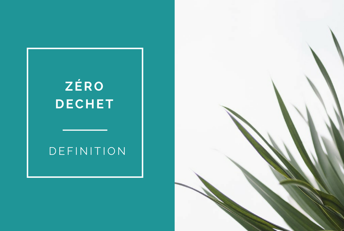 zero dechet definition