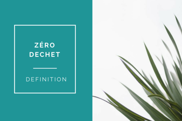 zero dechet definition