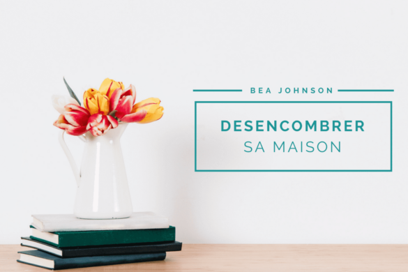 comment-desencombrer-bea-johnson-conseils