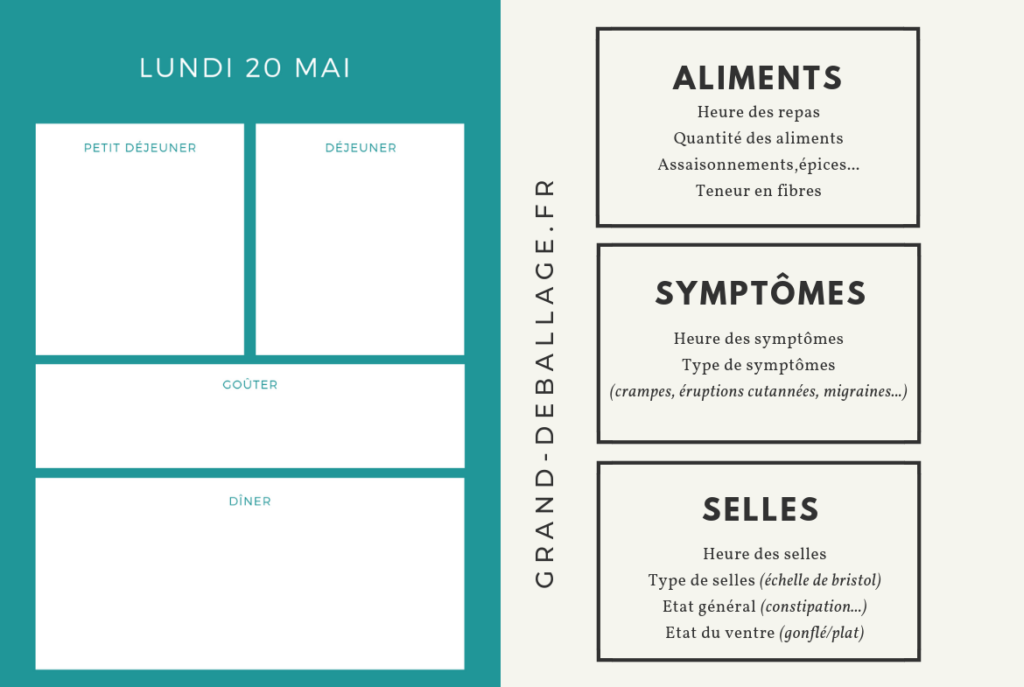 Carnet De Régime Déchirable Alimentaire Livre Planification