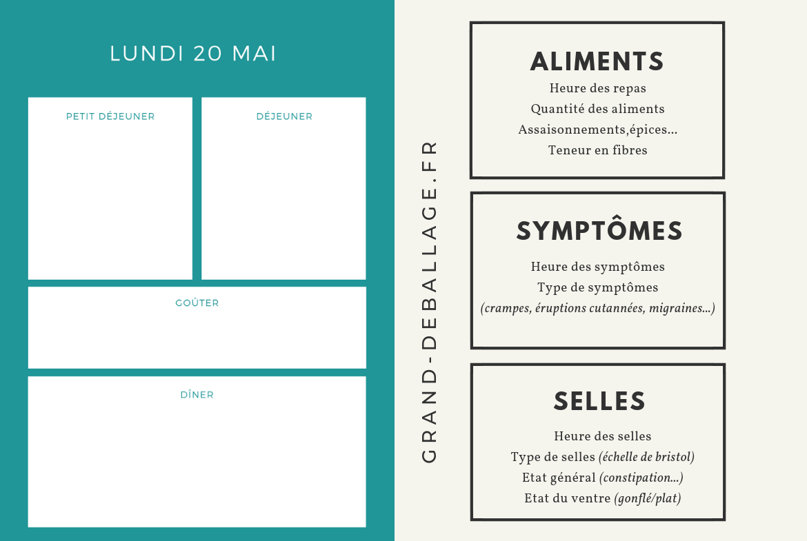 Pourquoi et comment tenir un journal alimentaire — free download