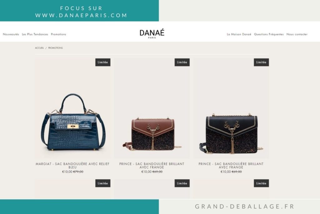 mon avis sur danae paris sacs