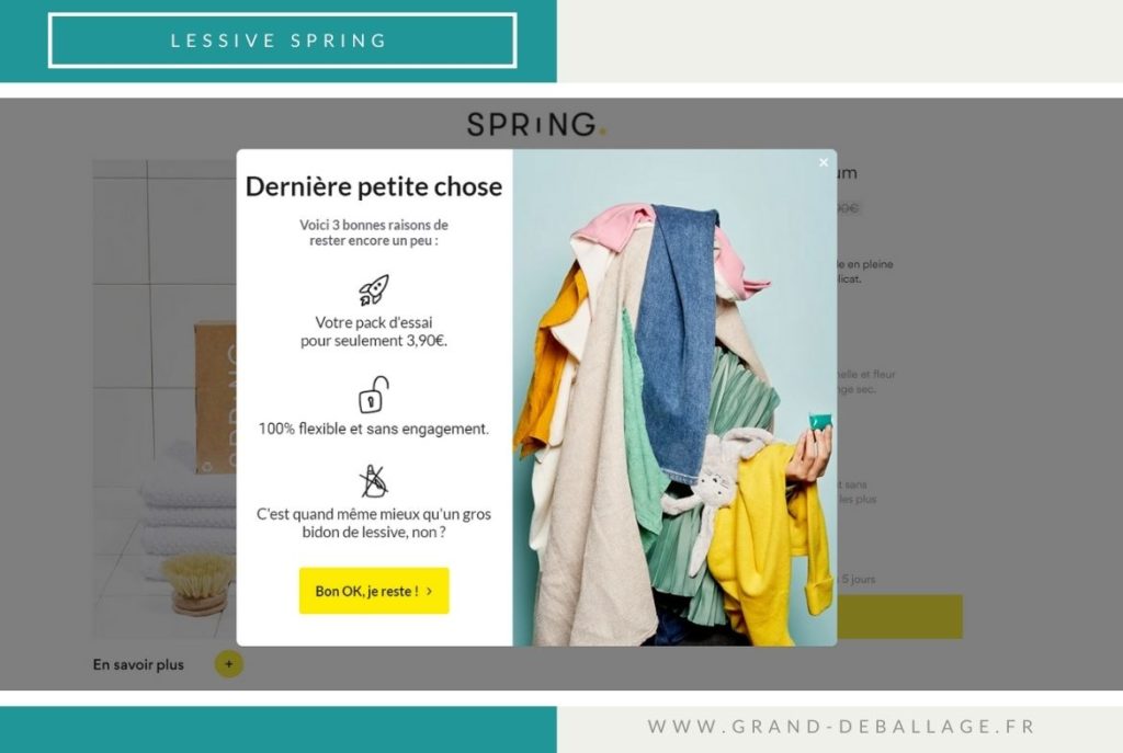 processus d'abonnement du site SPRING LESSIVE