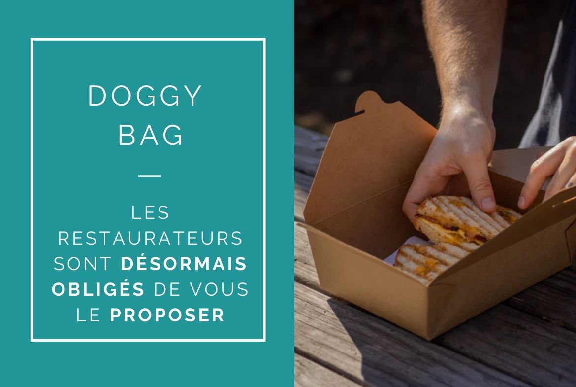 reglementation doggy bag 2021