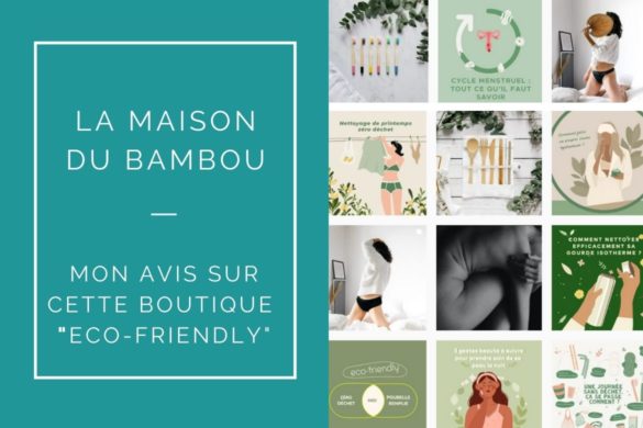 MON AVIS SUR LA MAISON DU BAMBOU