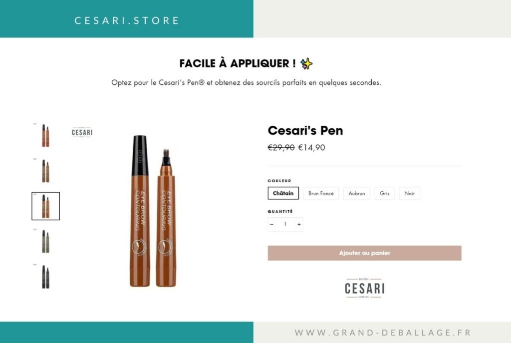 CESARI-PEN-MAQUILLAGE-AVIS (10)