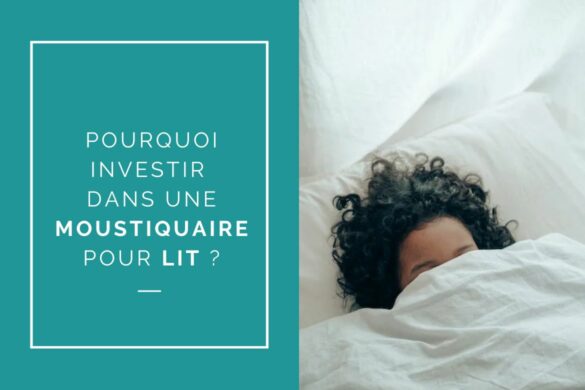 Pourquoi investir dans une moustiquaire pour lit