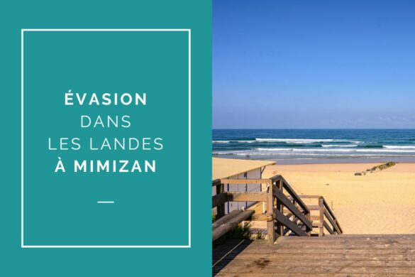 Évasion dans les Landes à Mimizan